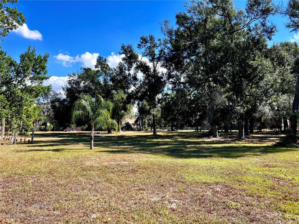 5105 N 45th Street Tampa FL 33610 TB8435626 image61