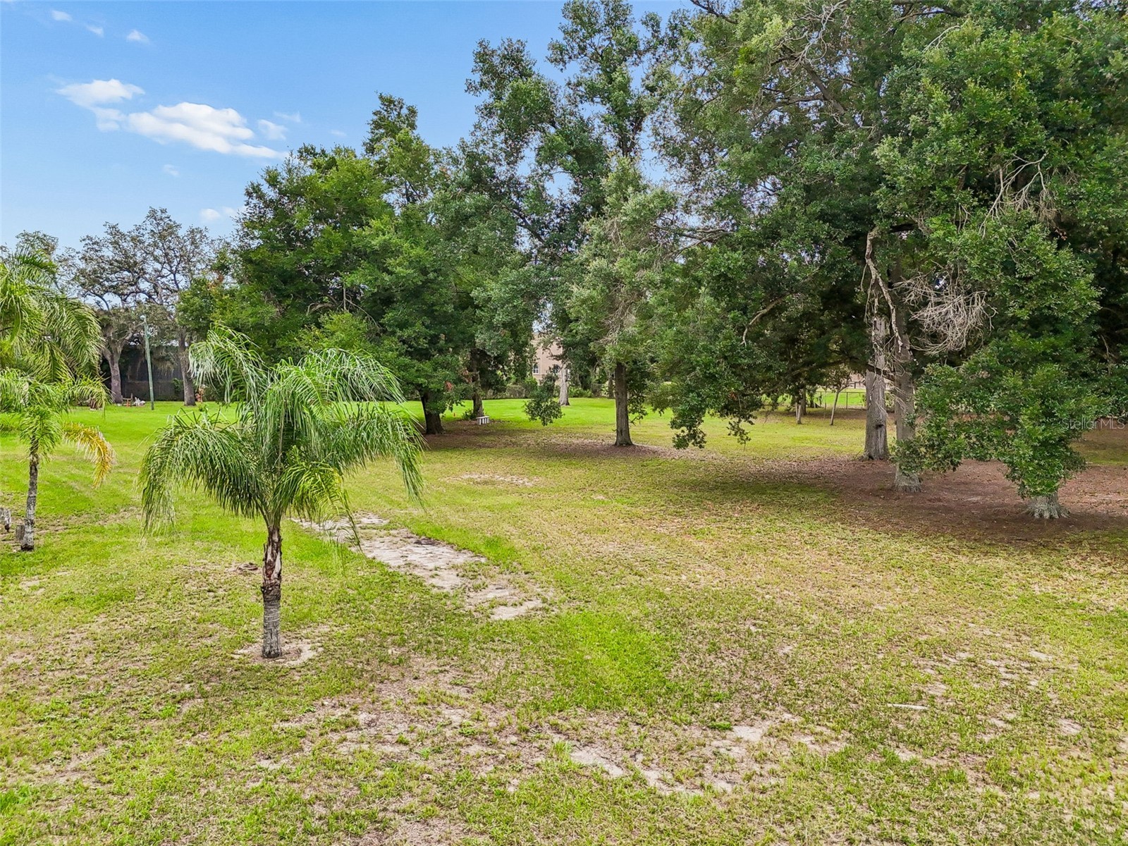 5105 N 45th Street Tampa FL 33610 TB8514325 image10