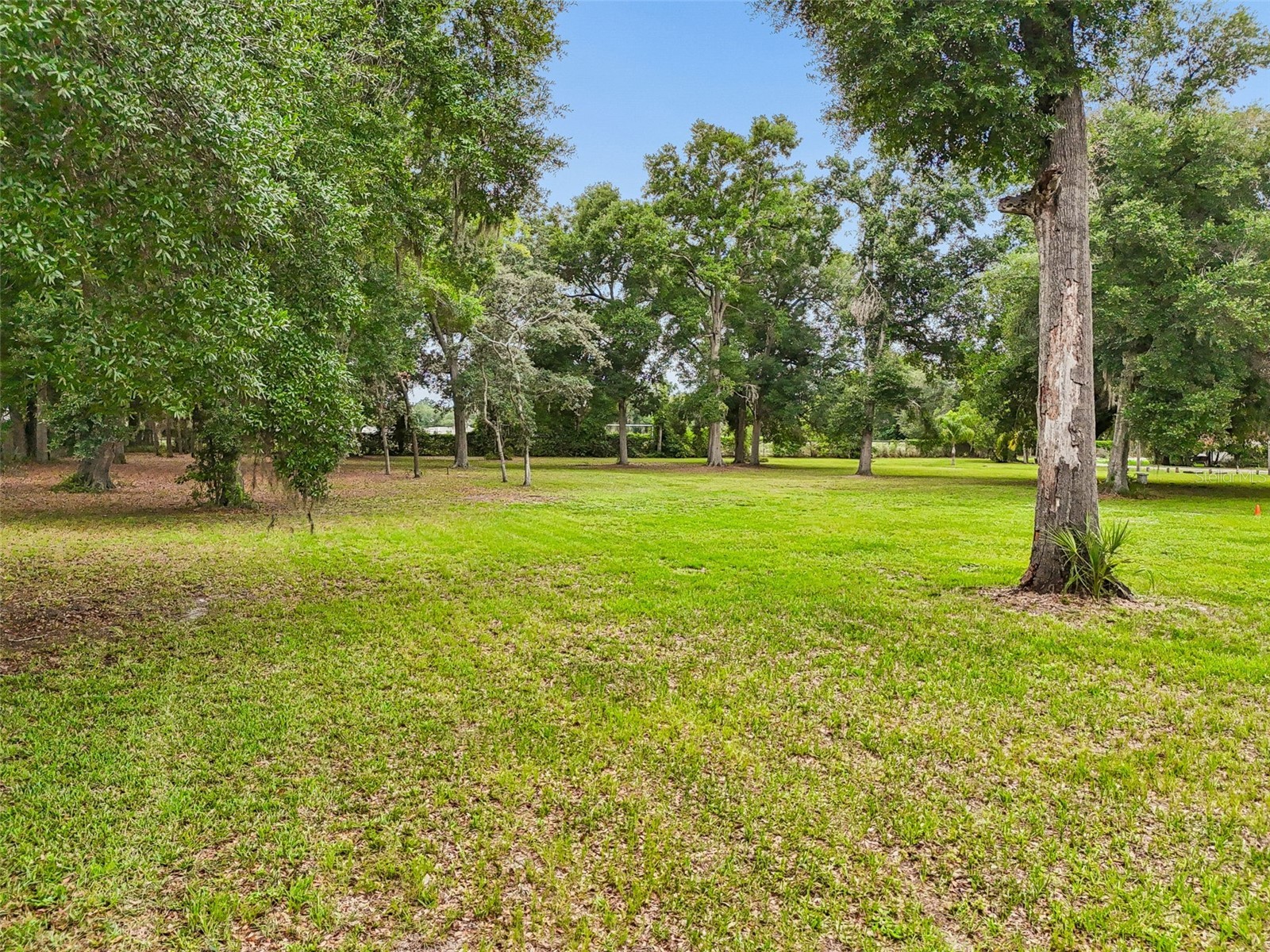 5105 N 45th Street Tampa FL 33610 TB8514325 image12