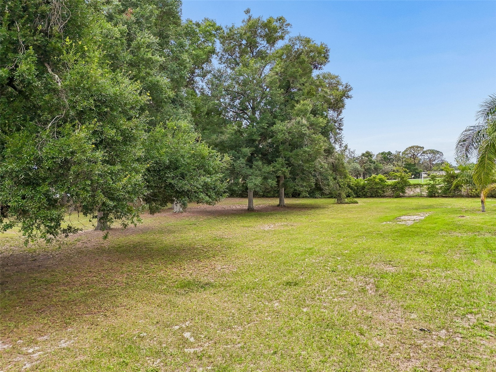 5105 N 45th Street Tampa FL 33610 TB8514325 image15