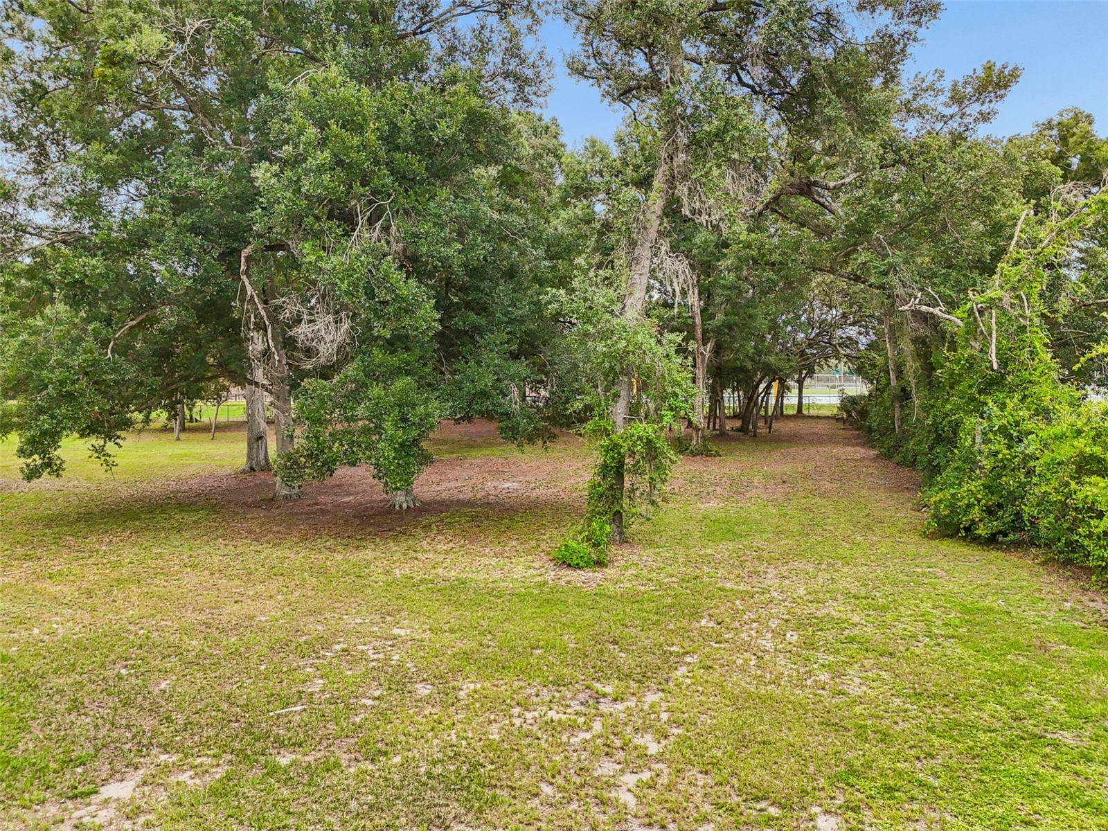 5105 N 45th Street Tampa FL 33610 TB8514325 image9