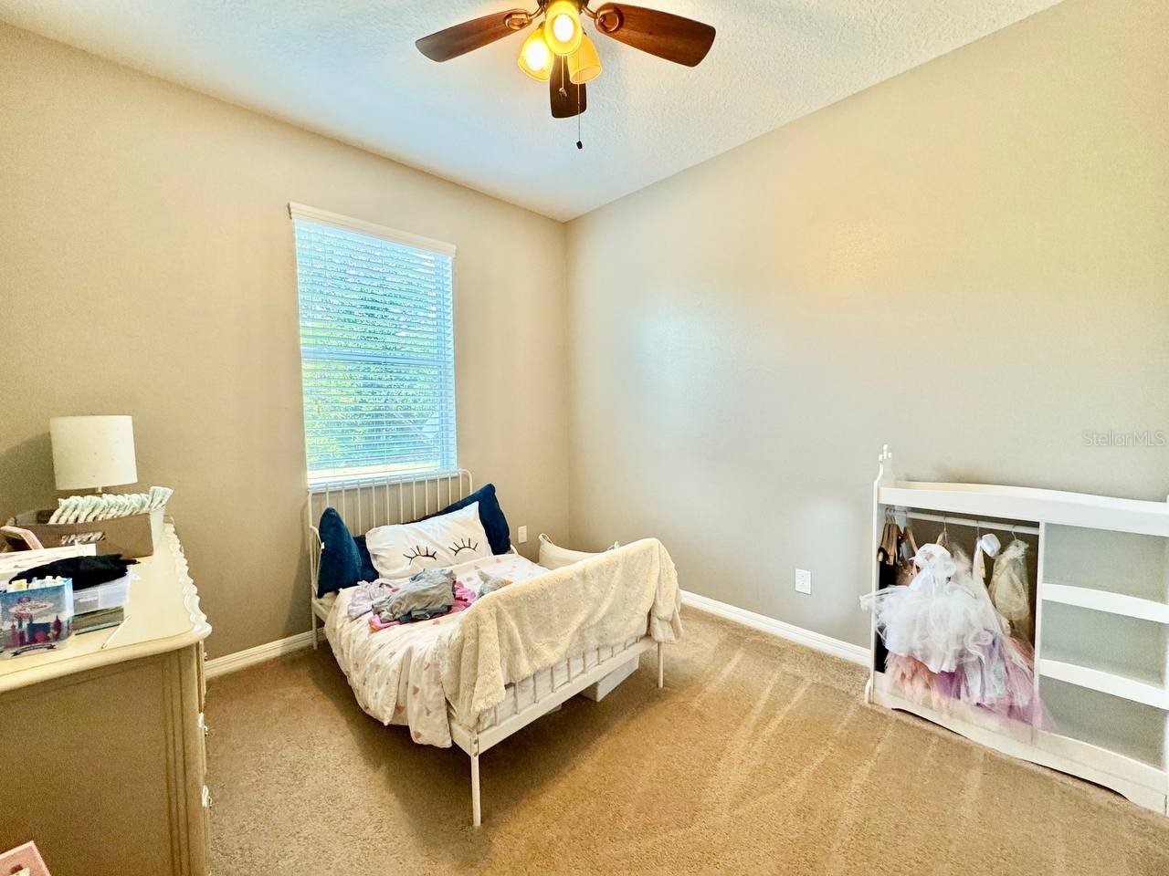5105 Oakline View Drive Lithia FL 33547 TB8507303 image22