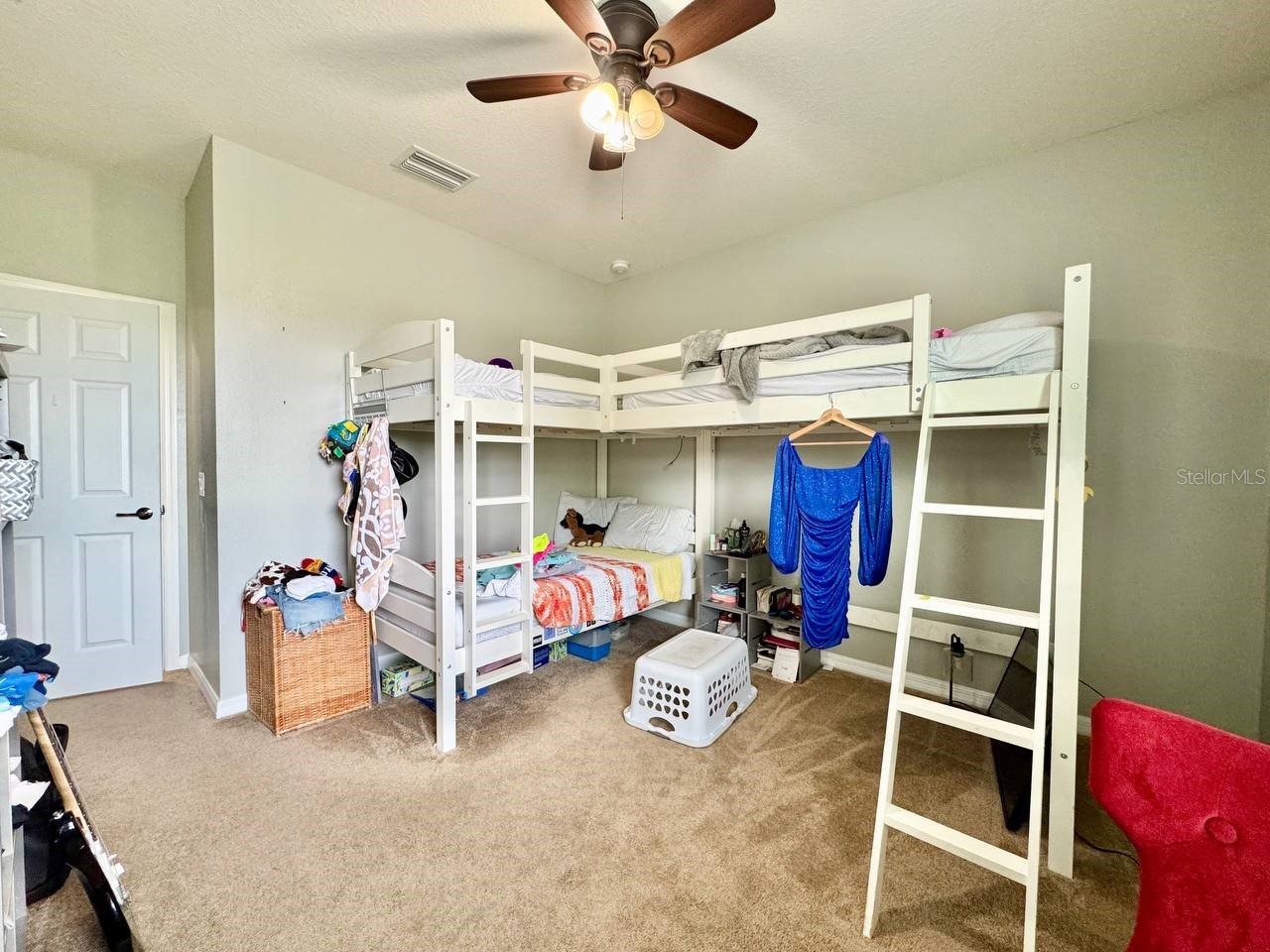 5105 Oakline View Drive Lithia FL 33547 TB8507303 image27