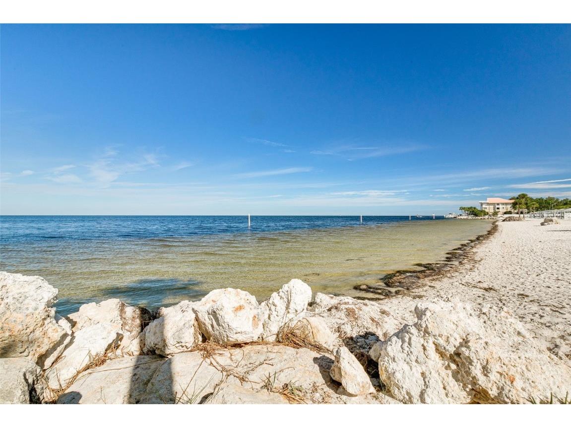 5105 Pelican Drive New Port Richey FL 34652 TB8452951 image44