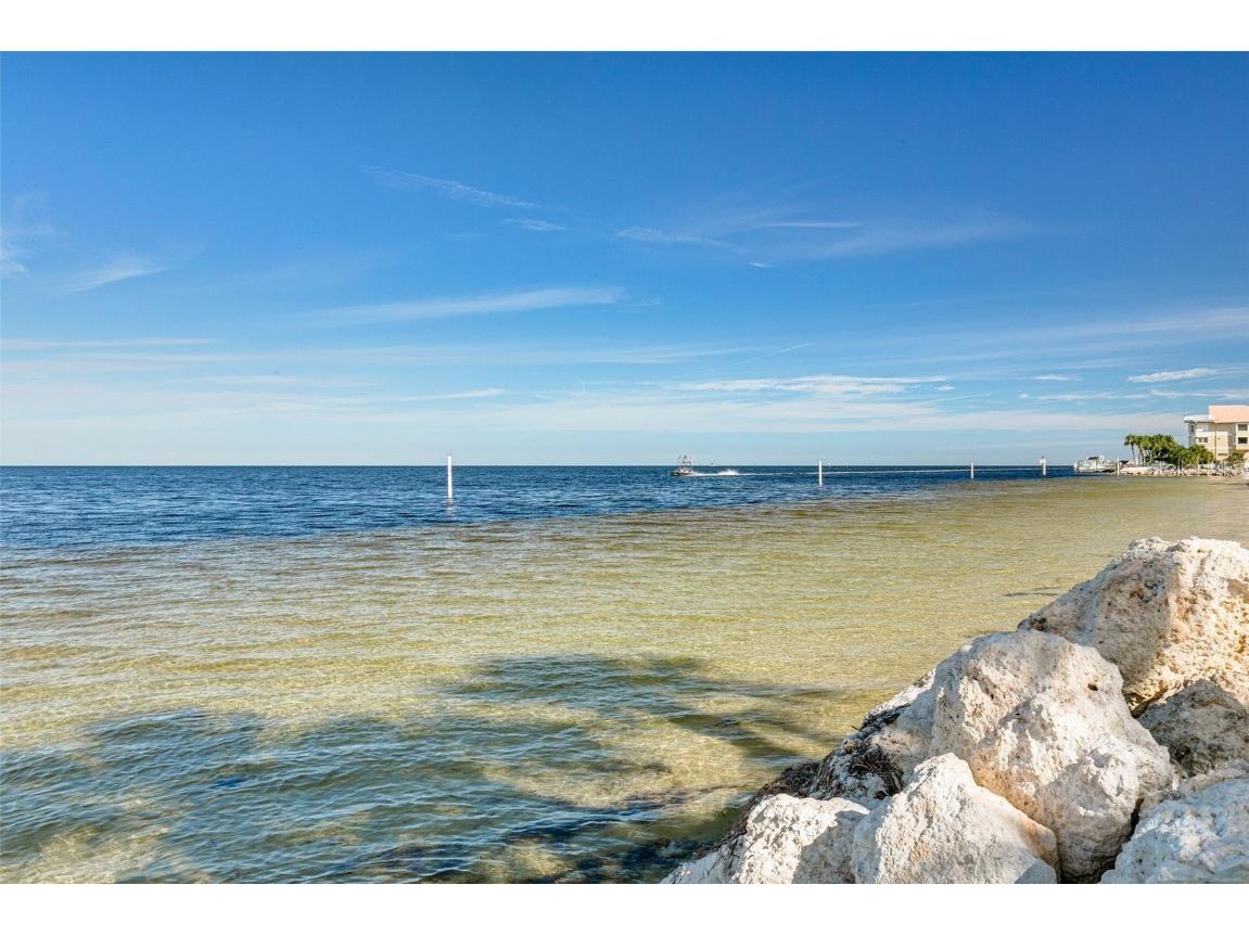 5105 Pelican Drive New Port Richey FL 34652 TB8452951 image45