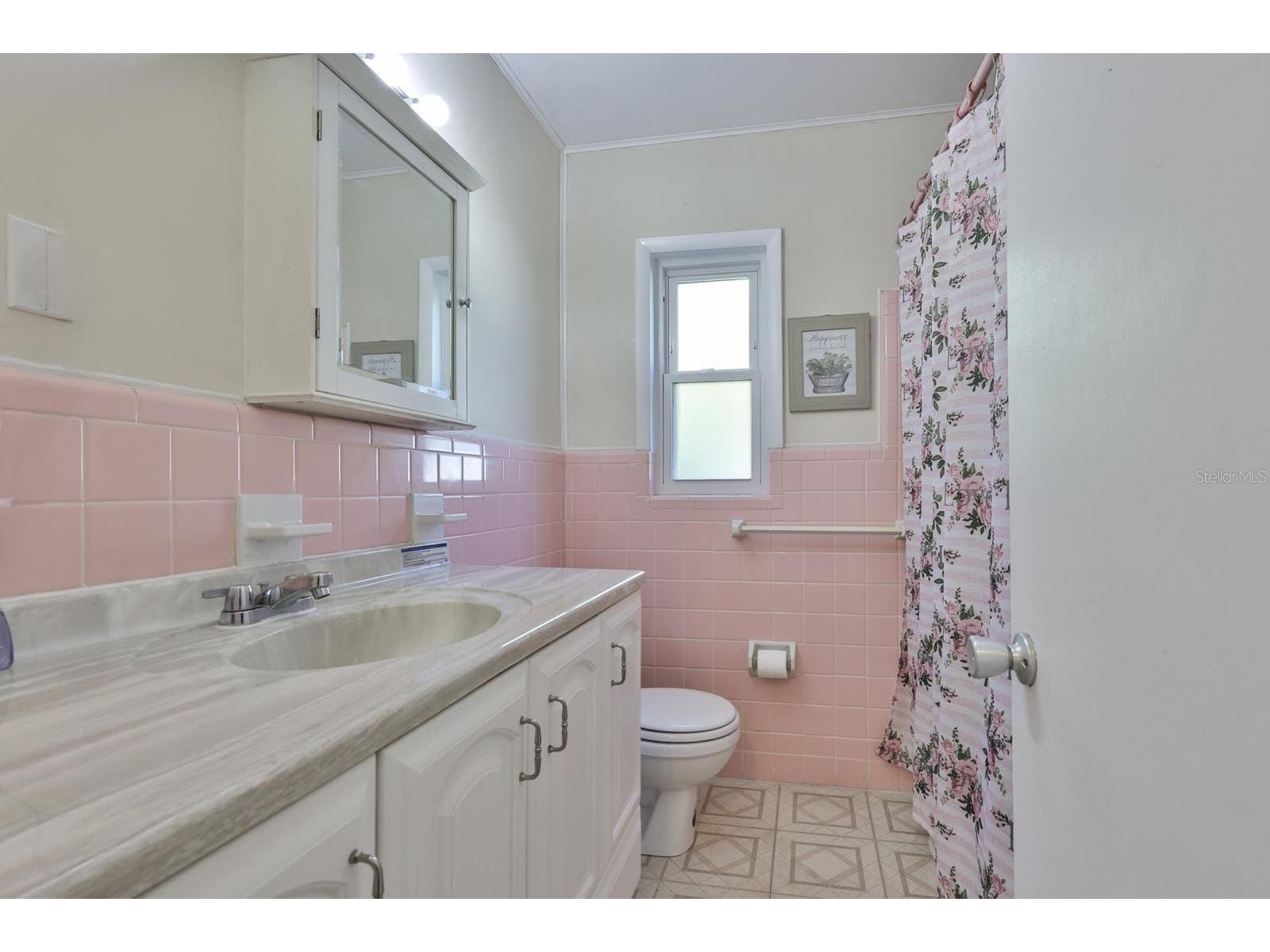 5105 Saint Charles Place Tampa FL 33610 - BELLOW'S LAKE TB8463511 image14