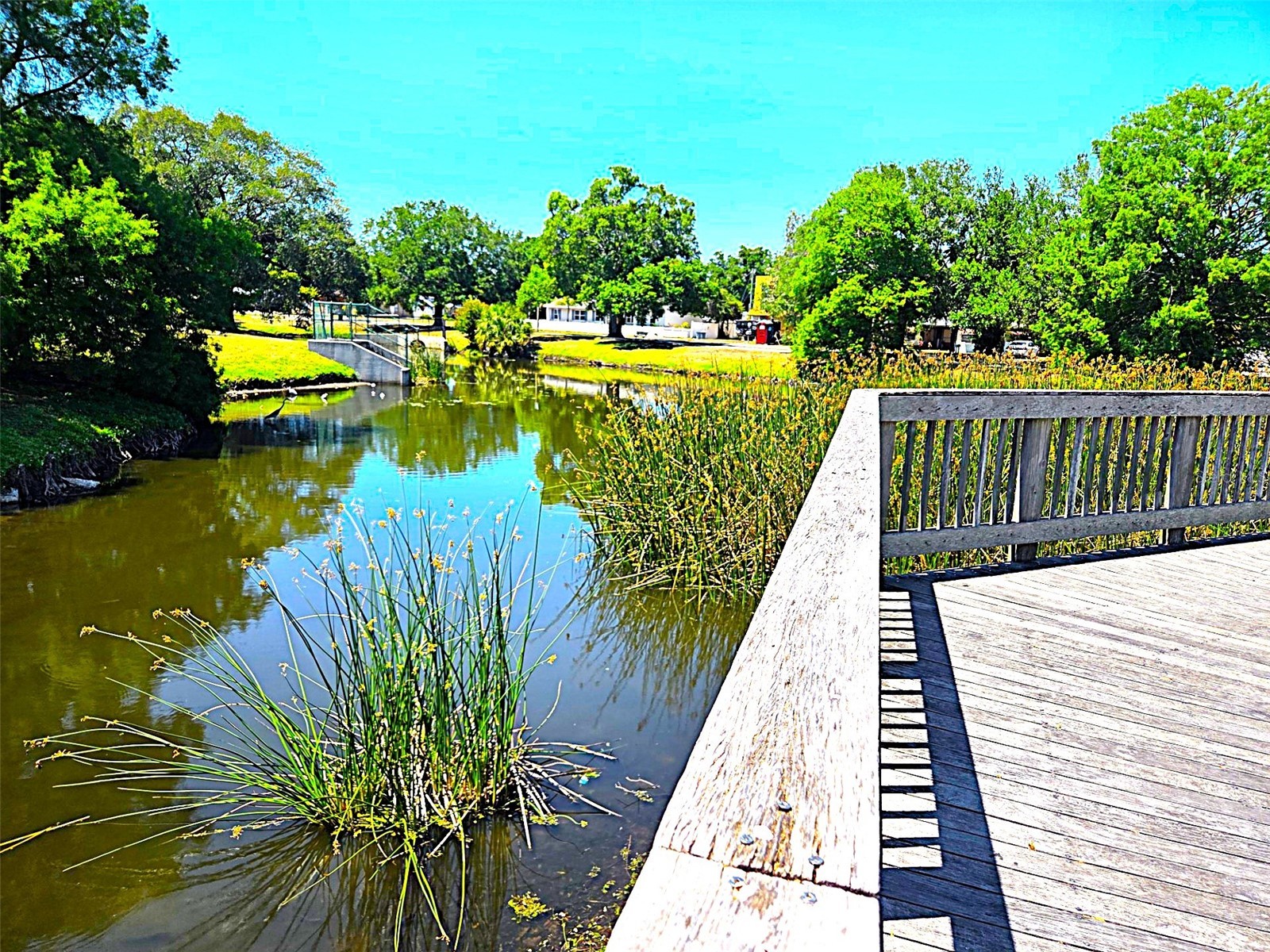 5105 Tangerine Avenue S Gulfport FL 33707 TB8499159 image36