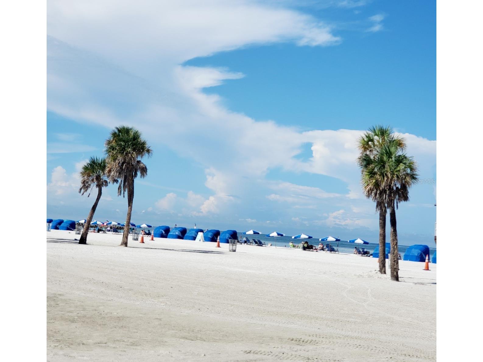 5105 Tangerine Avenue S Gulfport FL 33707 TB8499159 image40