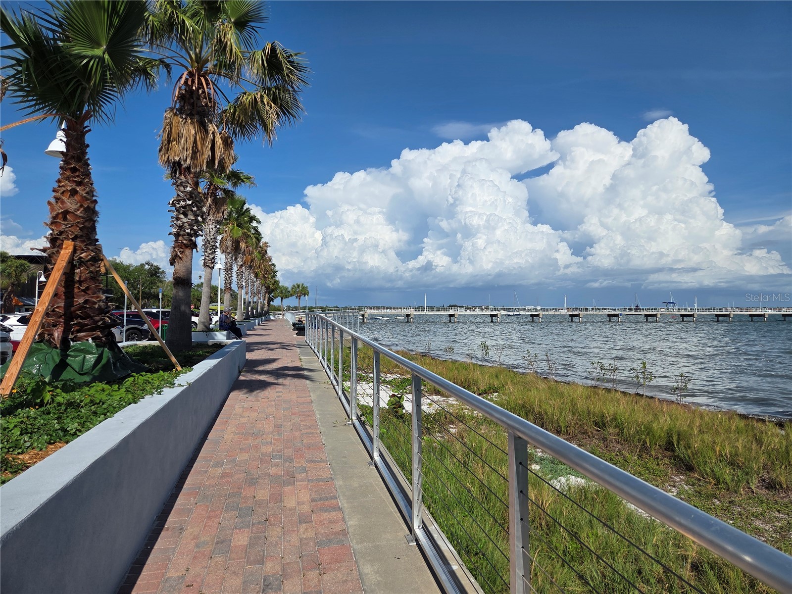 5105 Tangerine Avenue S Gulfport FL 33707 TB8499159 image49