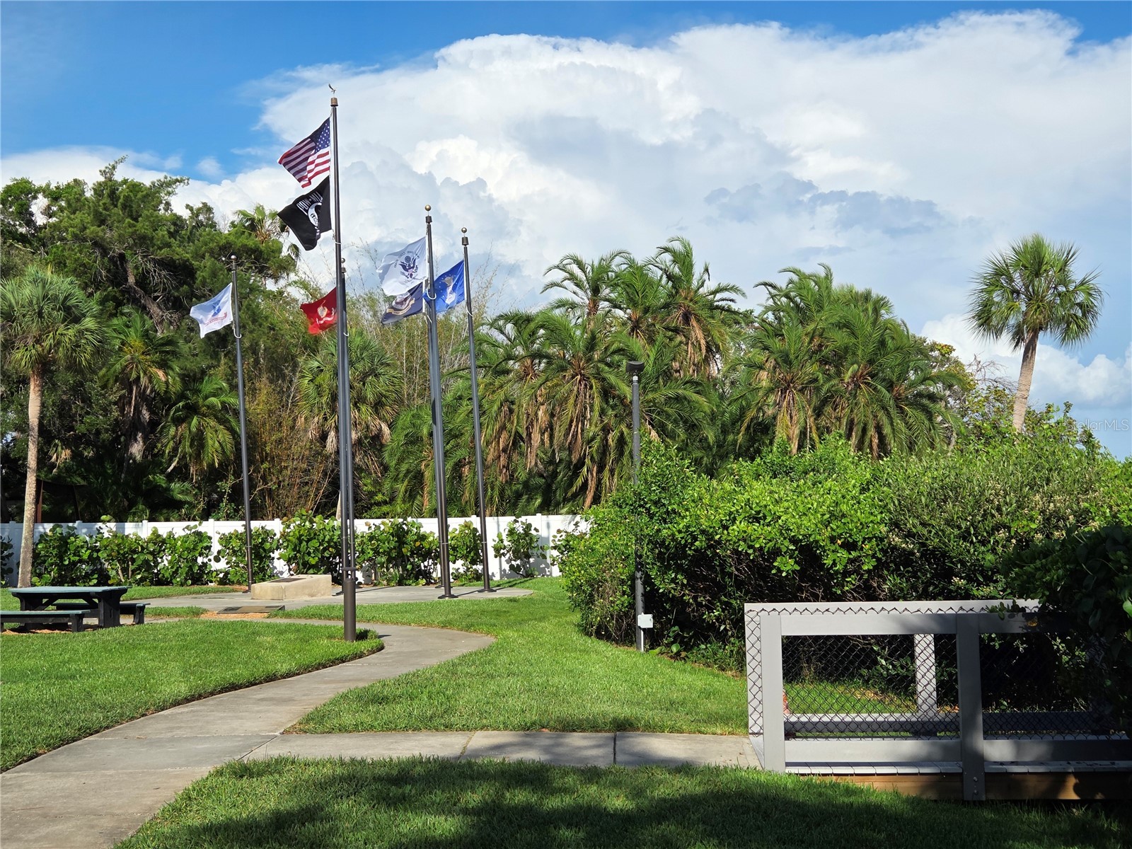5105 Tangerine Avenue S Gulfport FL 33707 TB8499159 image59