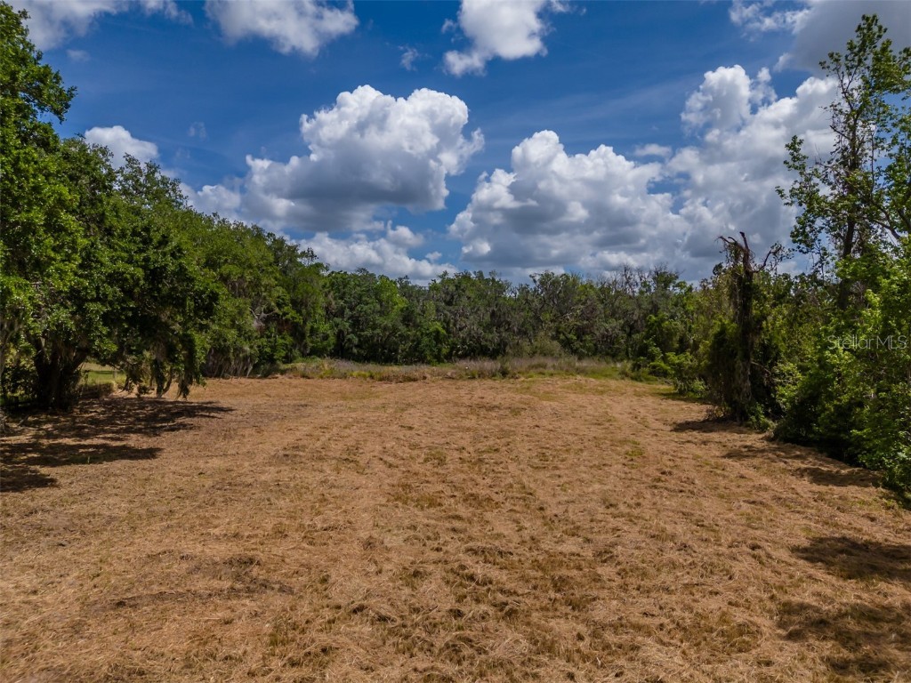 5106 Bell Shoals Road Valrico FL 33596 TB8371663 image8