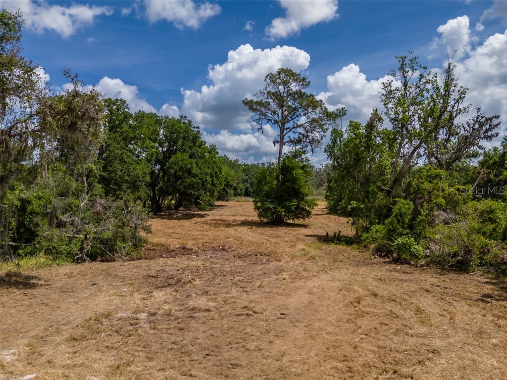 5106 Bell Shoals Road Valrico FL 33596 TB8371663 image9