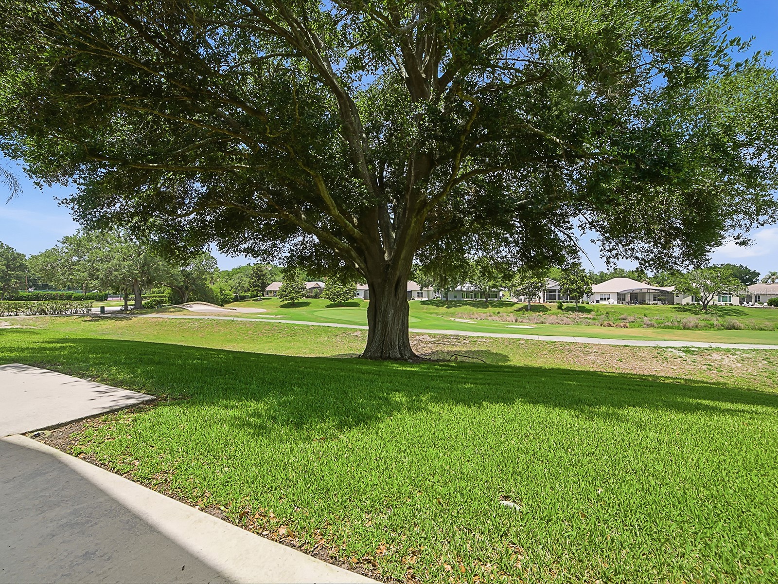 5106 Chanticleer Drive Leesburg FL 34748 G5112349 image38
