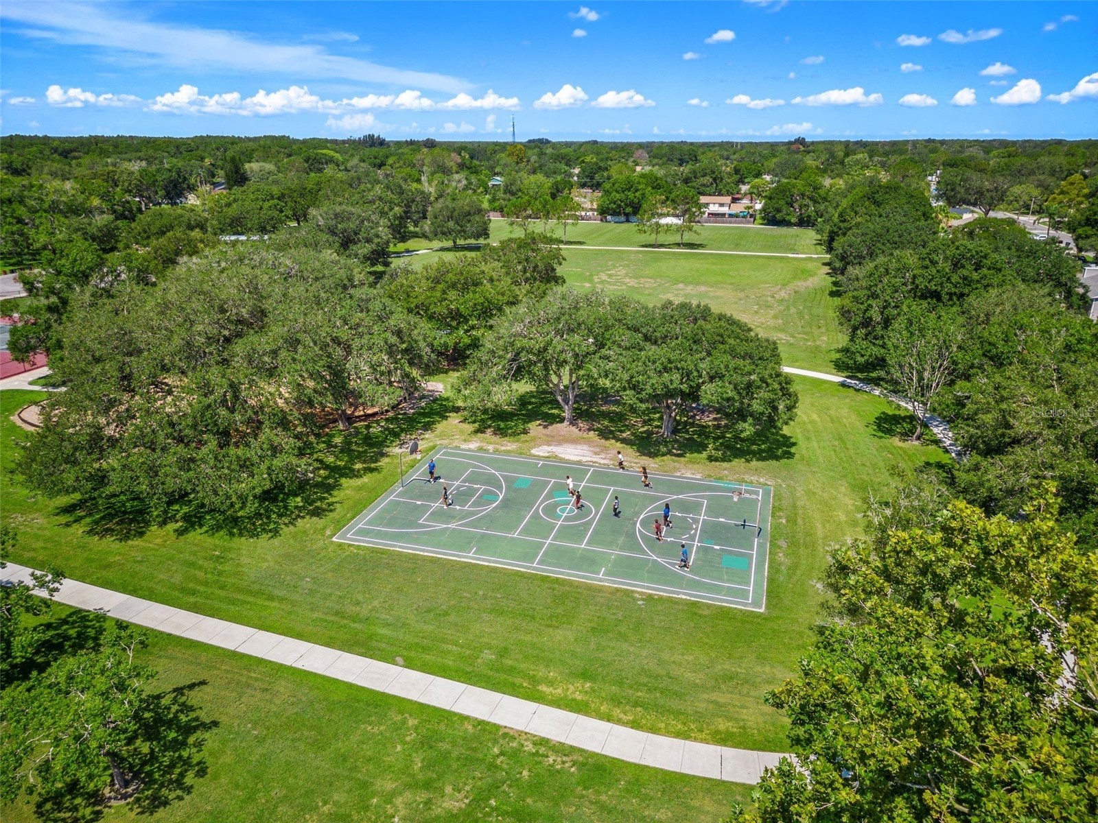 5106 Pennsbury Drive Tampa FL 33624 TB8523481 image47