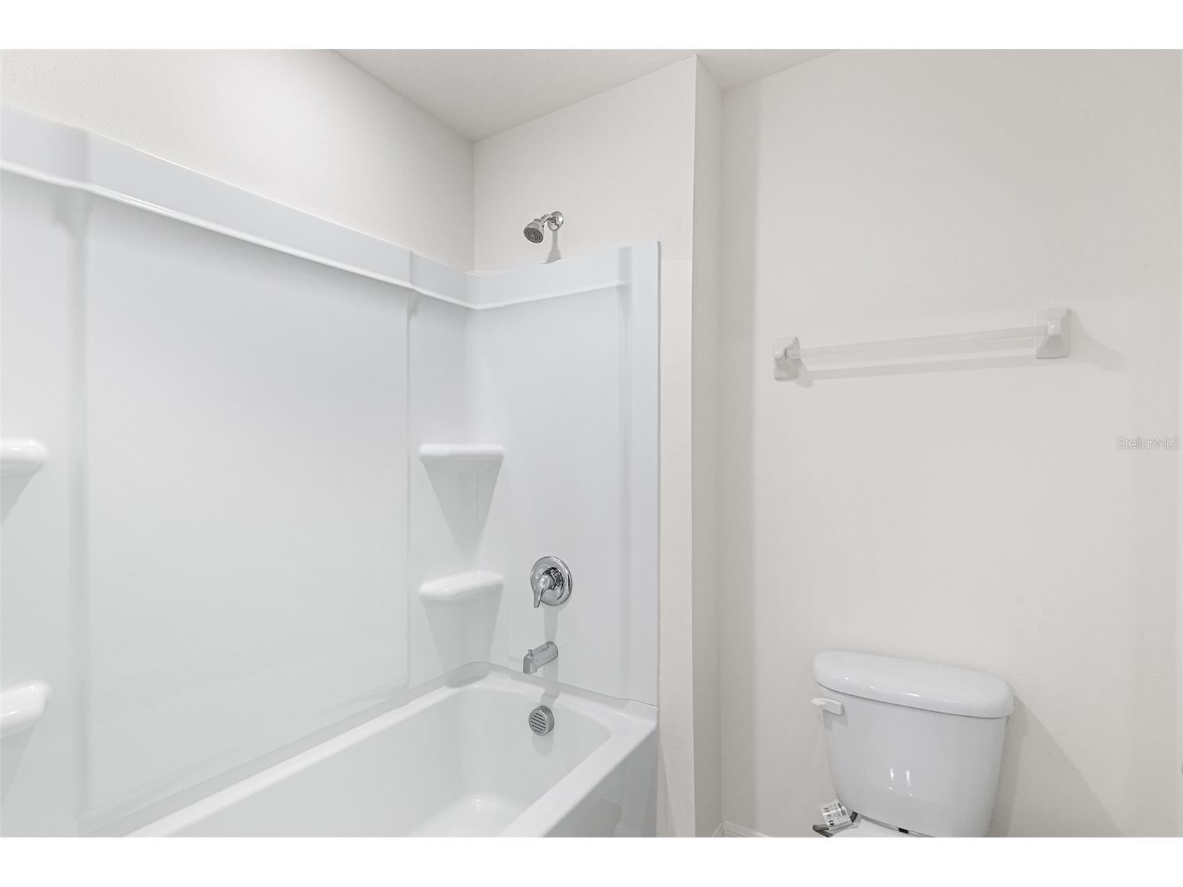 5106 Plumeria Drive Wimauma FL 33598 O6416809 image18