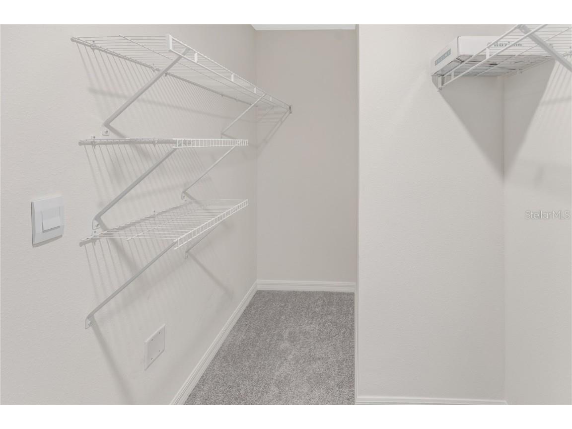 5106 Plumeria Drive Wimauma FL 33598 TB8446532 image34