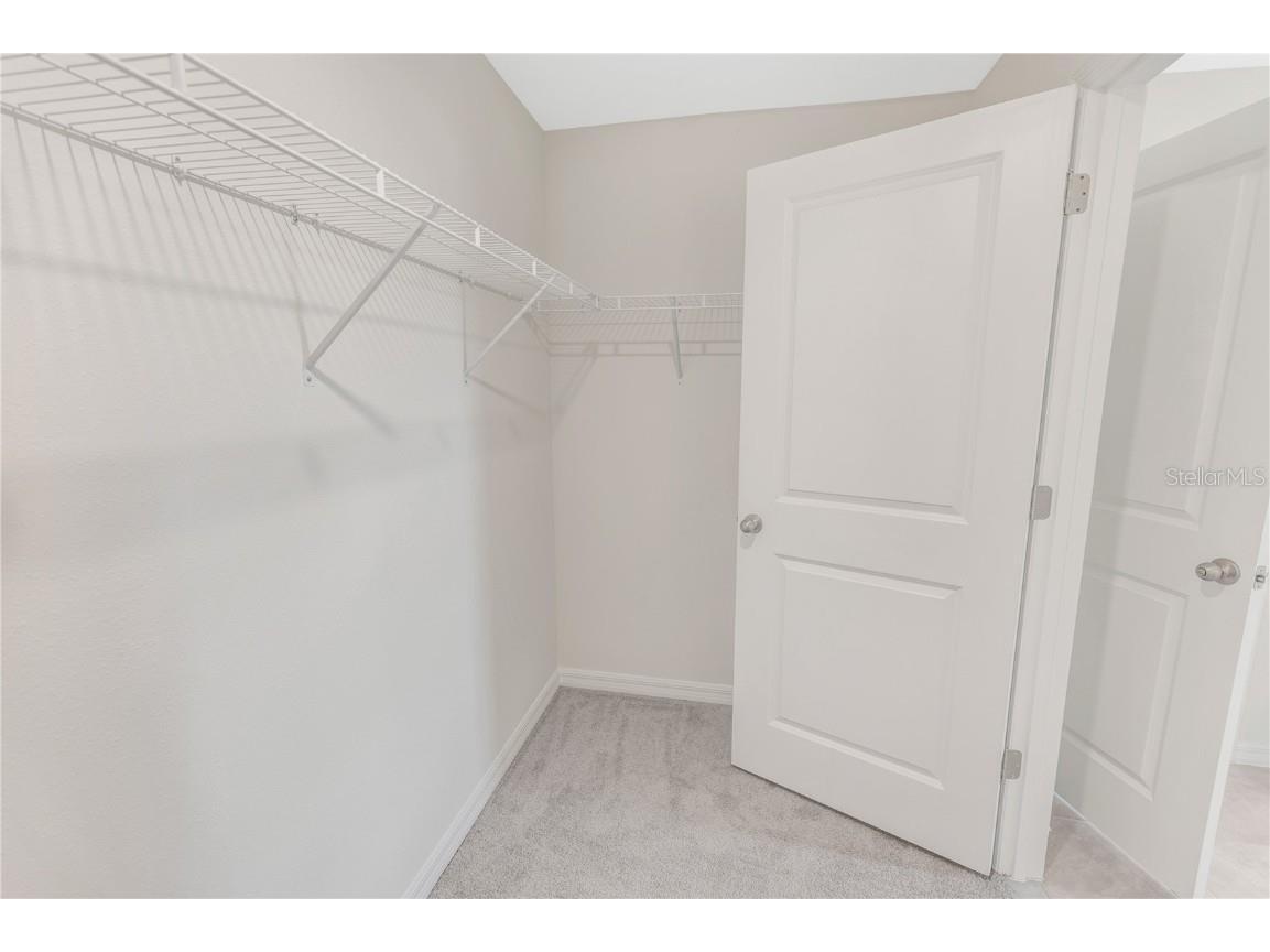 5106 Plumeria Drive Wimauma FL 33598 TB8446532 image35