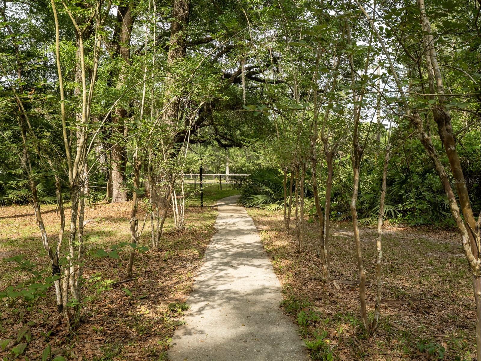 5106 SW 177th Street Archer FL 32618 GC538376 image5