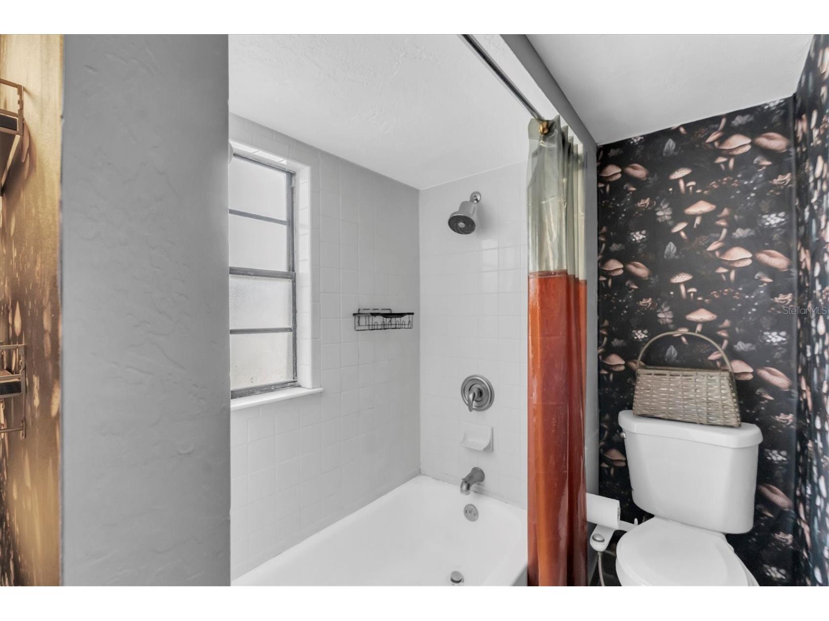 5107 37th Street N Saint Petersburg FL 33714 TB8473889 image11