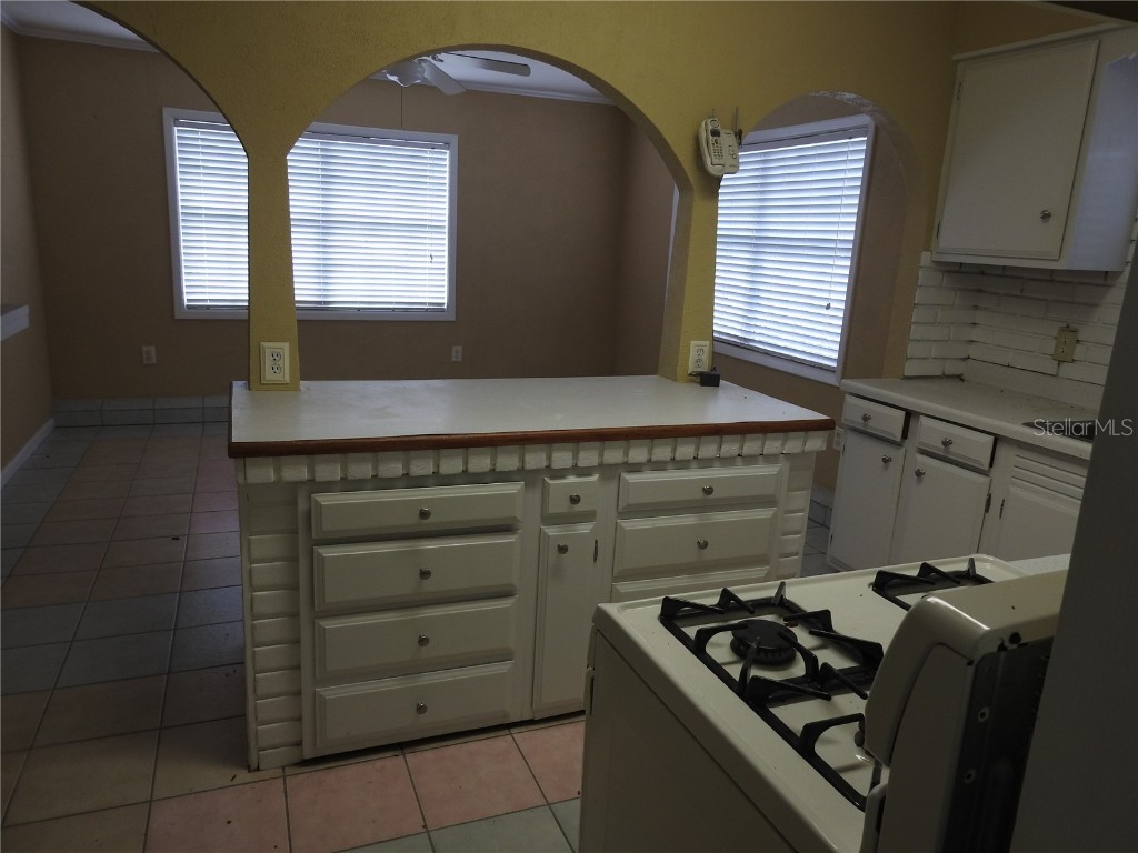 5107 County Road 163 Wildwood FL 34785 OM698916 image24