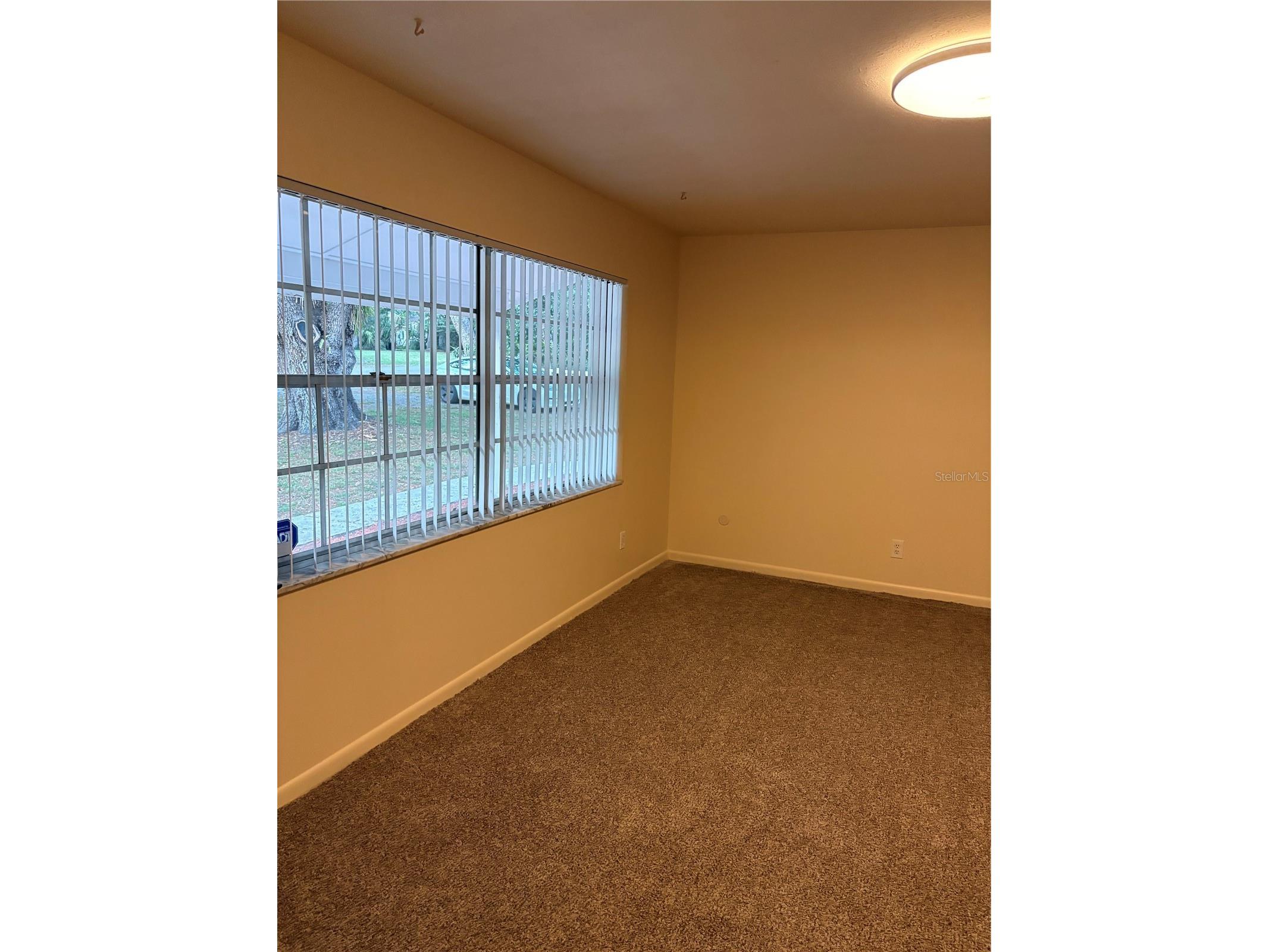 5107 E 120th Avenue Temple Terrace FL 33617 TB8500394 image13