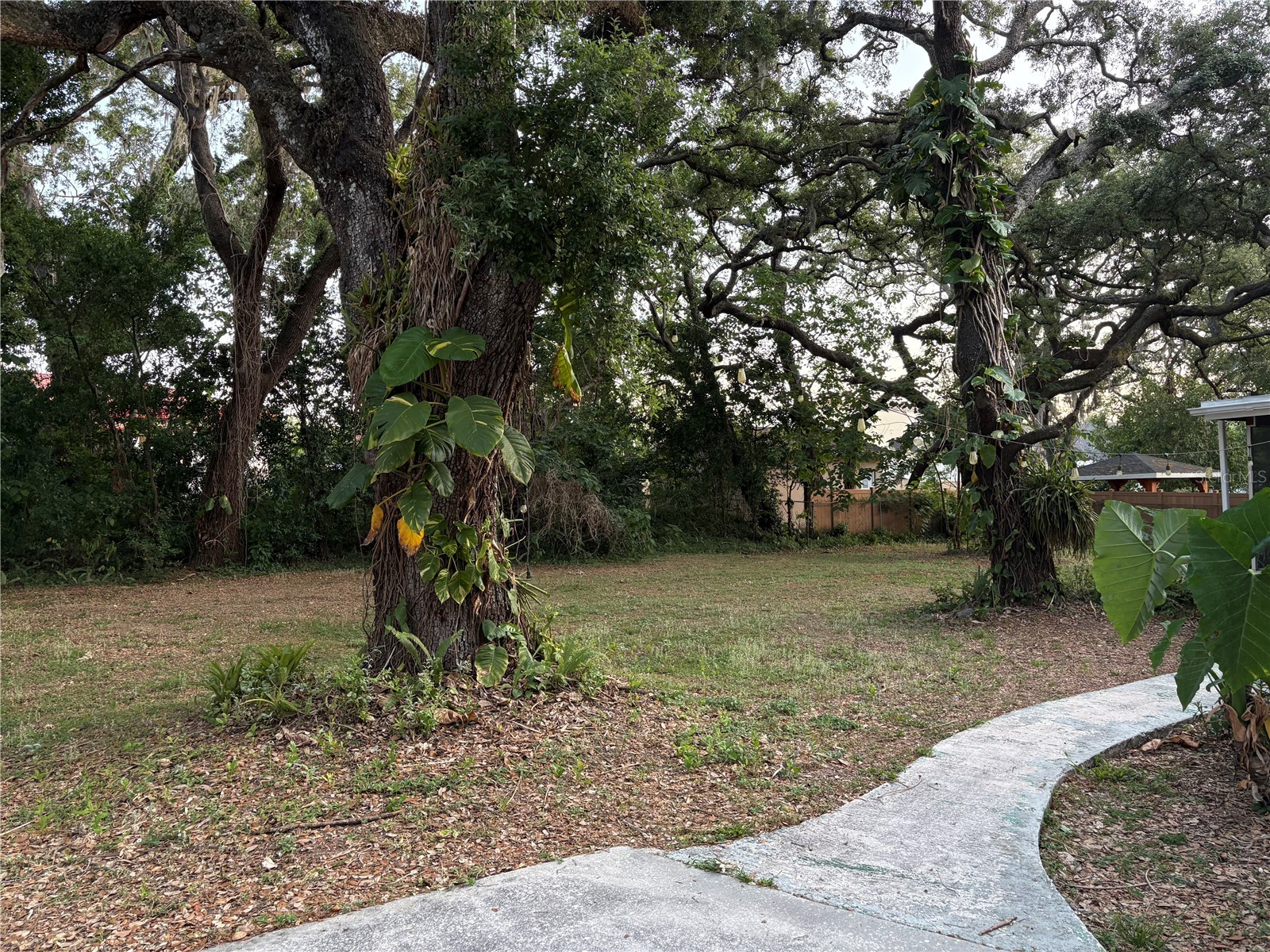 5107 E 120th Avenue Temple Terrace FL 33617 TB8500394 image22