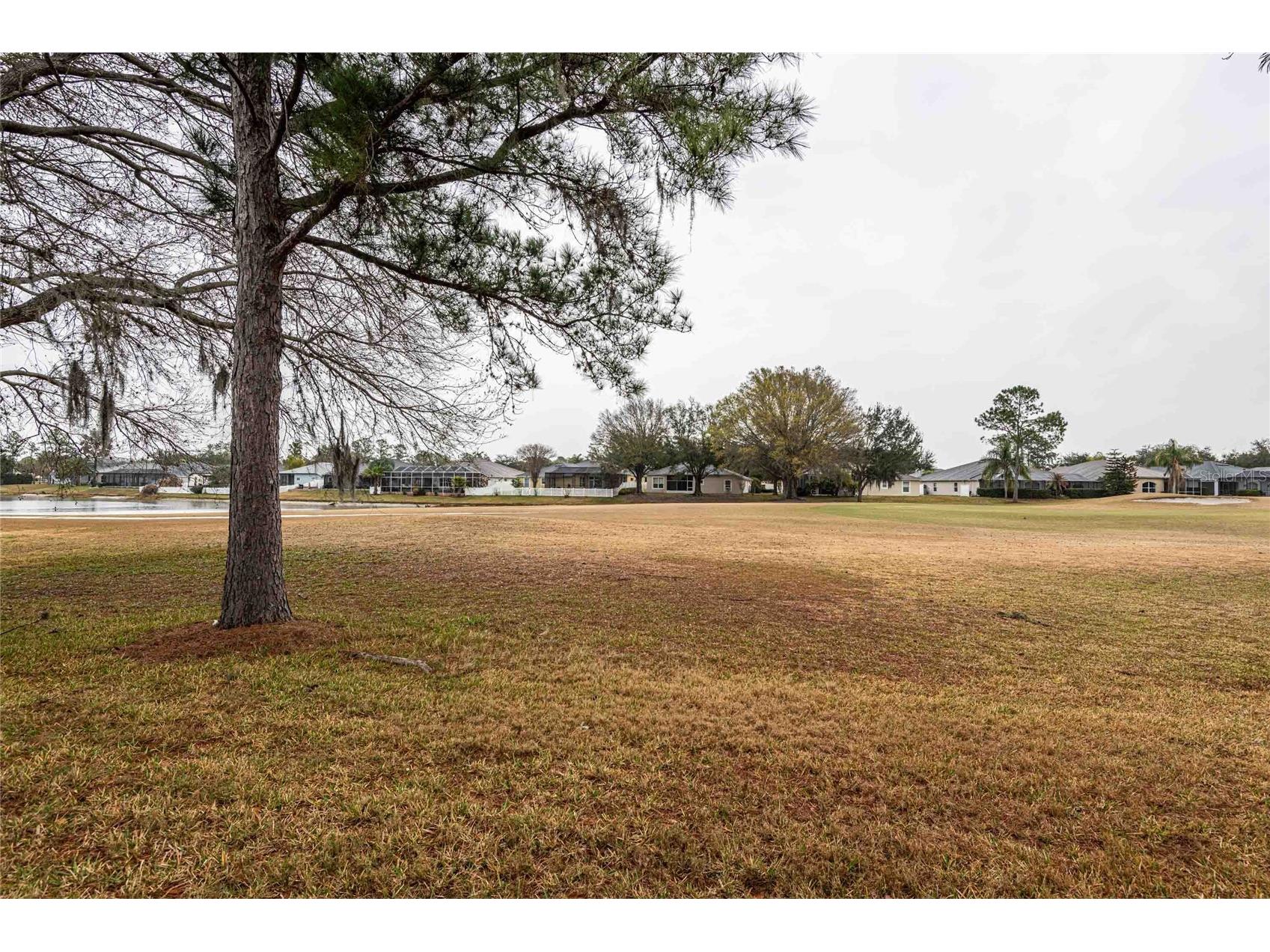 5107 Gato Del Sol Circle Wesley Chapel FL 33544 TB8483437 image10