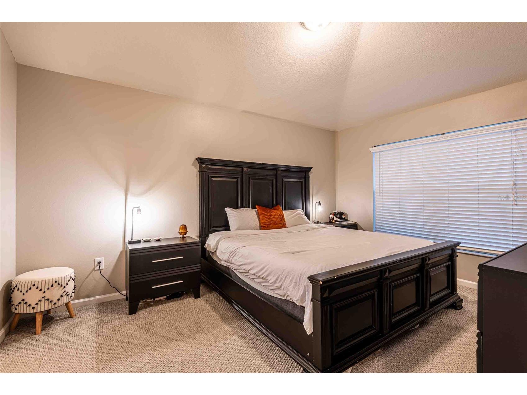 5107 Gato Del Sol Circle Wesley Chapel FL 33544 TB8483437 image5