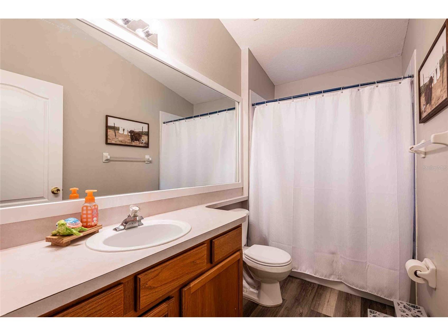 5107 Gato Del Sol Circle Wesley Chapel FL 33544 TB8483437 image8