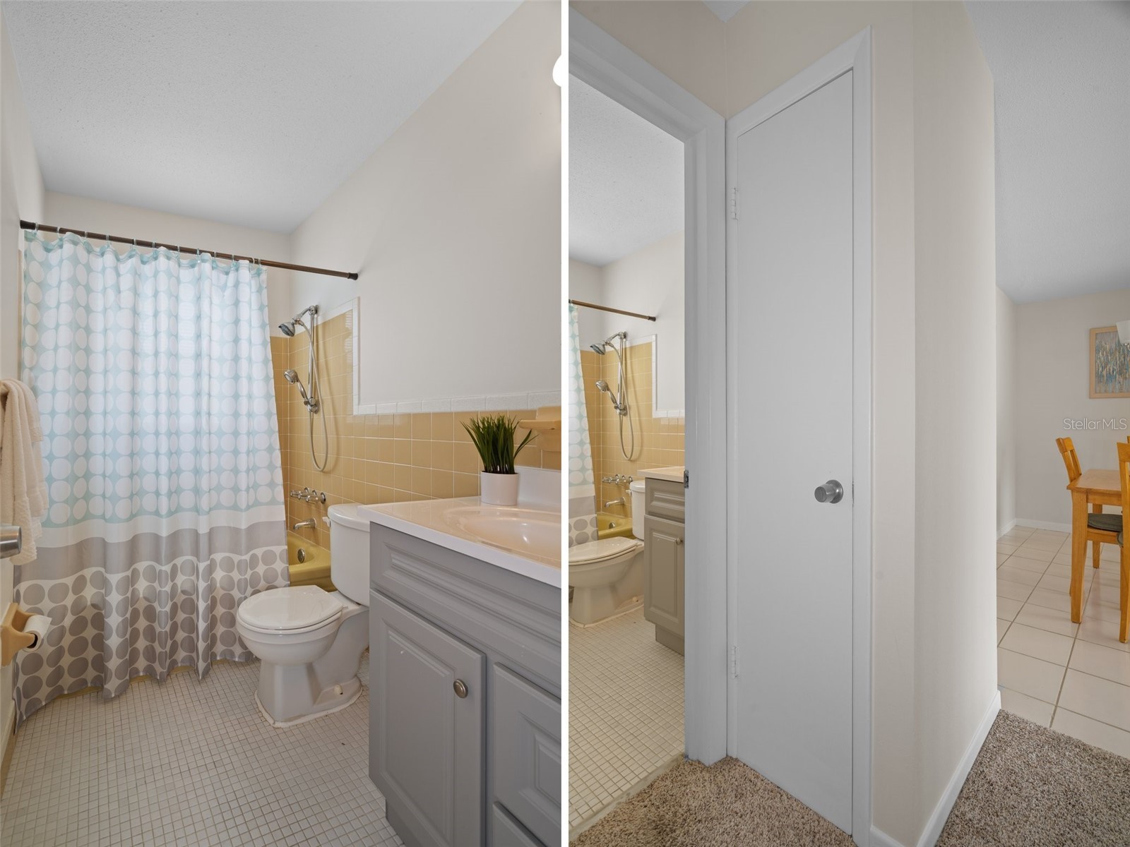 5107 Park Lake Drive N Pinellas Park FL 33782 TB8487547 image24