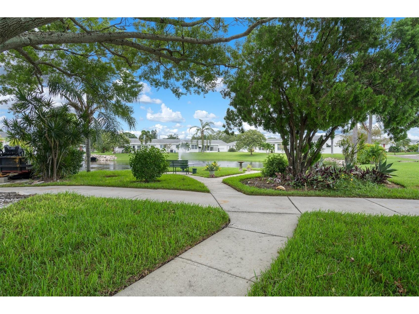 5107 Park Lake Drive N Pinellas Park FL 33782 TB8487547 image39
