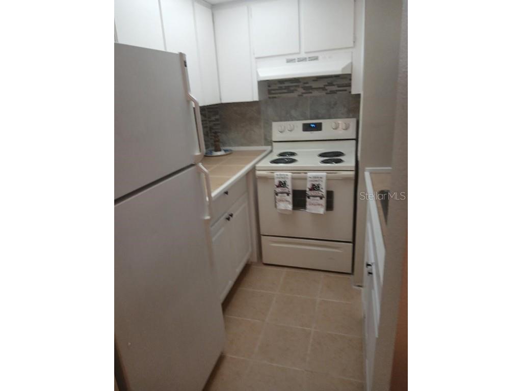 5108 Amulet Drive #102 New Port Richey FL 34652 W7879623 image8