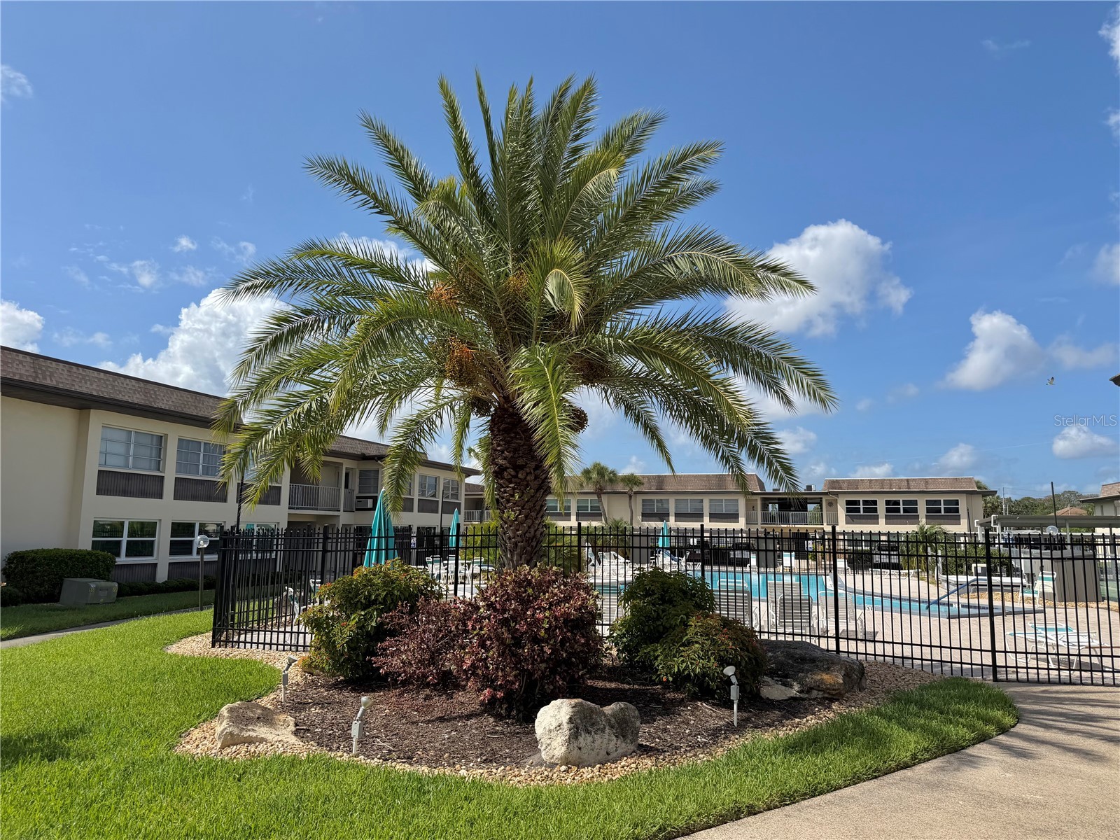 5108 Amulet Drive #205 New Port Richey FL 34652 TB8512126 image39