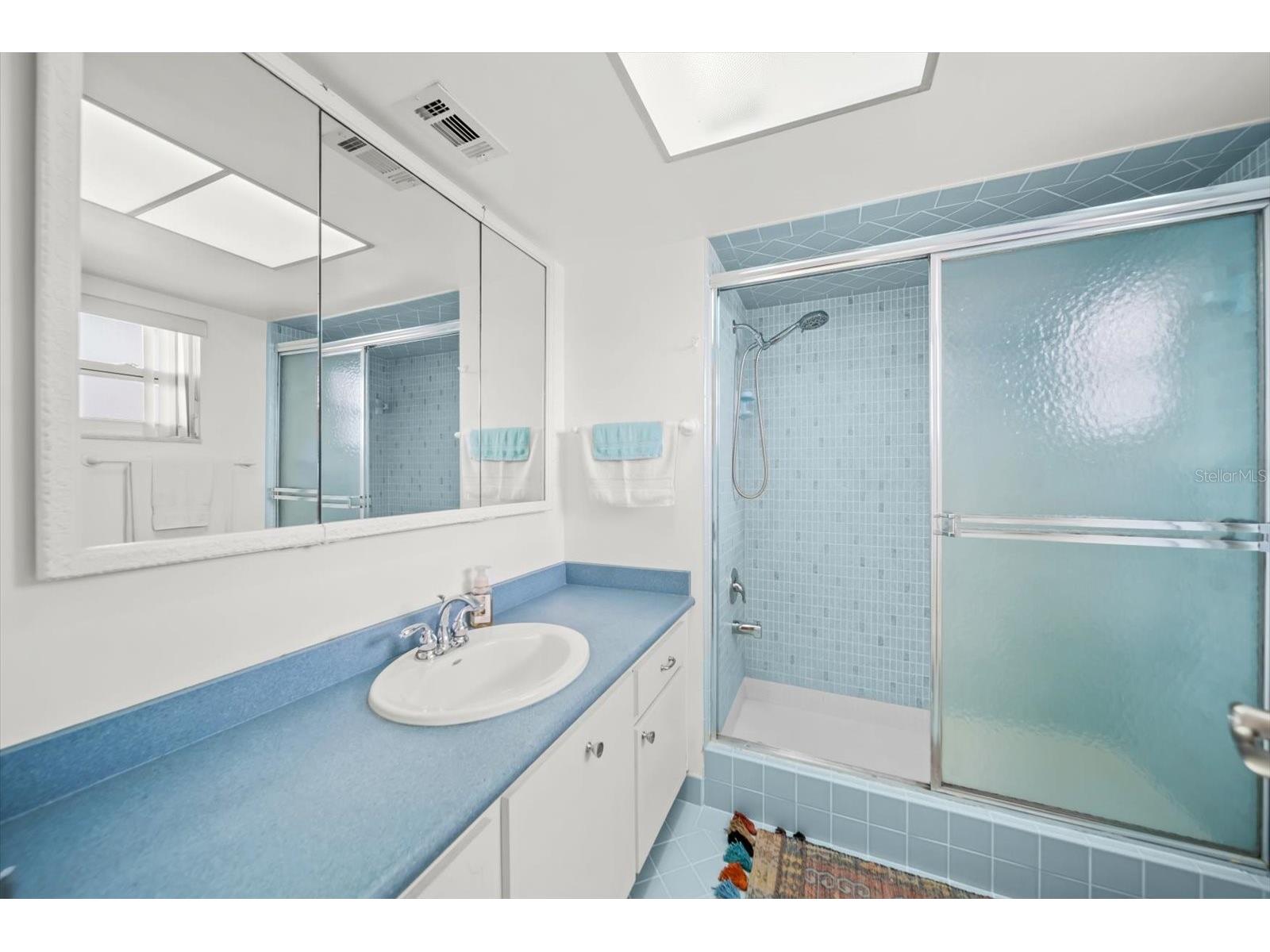 5108 Brittany Drive S #607 Saint Petersburg FL 33715 TB8507559 image22