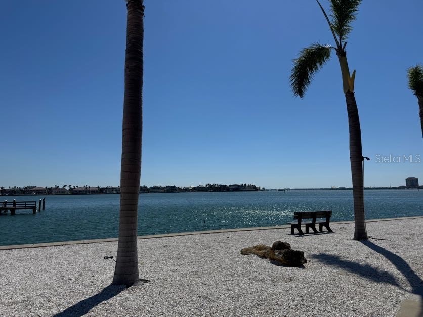 5108 Brittany Drive S #903 Saint Petersburg FL 33715 TB8351222 image39