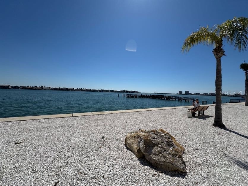 5108 Brittany Drive S #903 Saint Petersburg FL 33715 TB8351222 image41