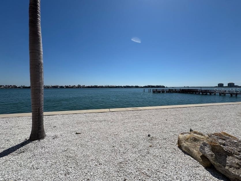 5108 Brittany Drive S #903 Saint Petersburg FL 33715 TB8351222 image42