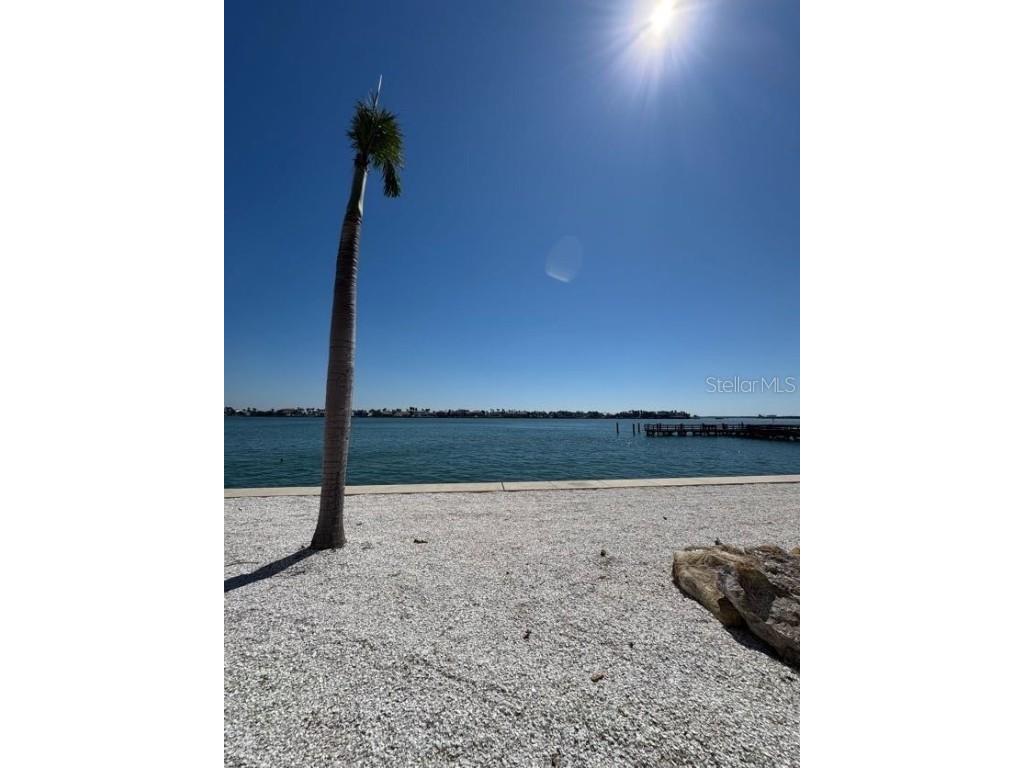 5108 Brittany Drive S #903 Saint Petersburg FL 33715 TB8351222 image43