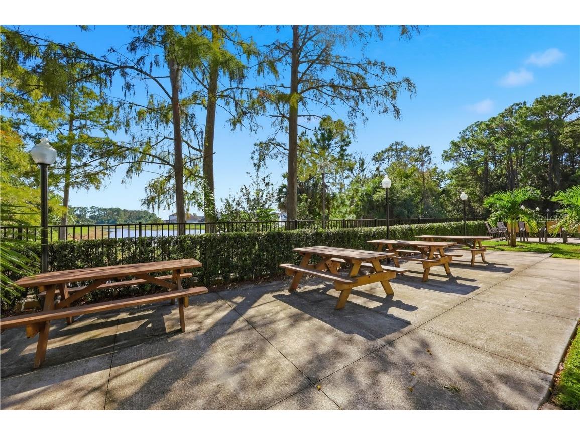 5108 Conroy Road #1724 Orlando FL 32811 O6355156 image29