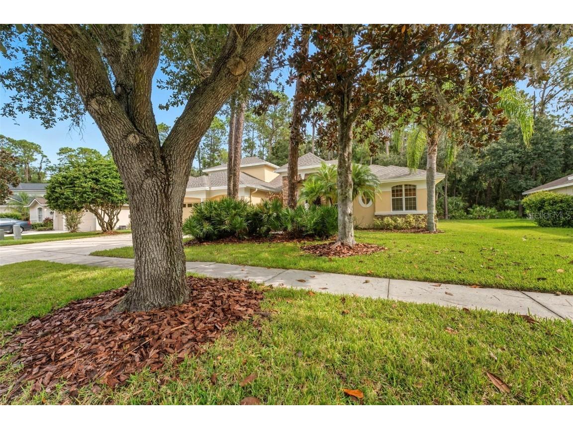 5108 Dunham Creek Place Brandon FL 33511 TB8427354 image2