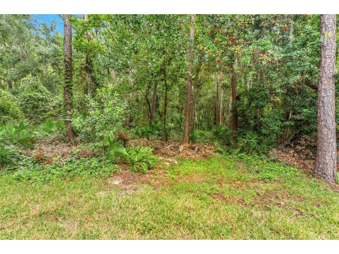 5108 Dunham Creek Place Brandon FL 33511 TB8427354 image45