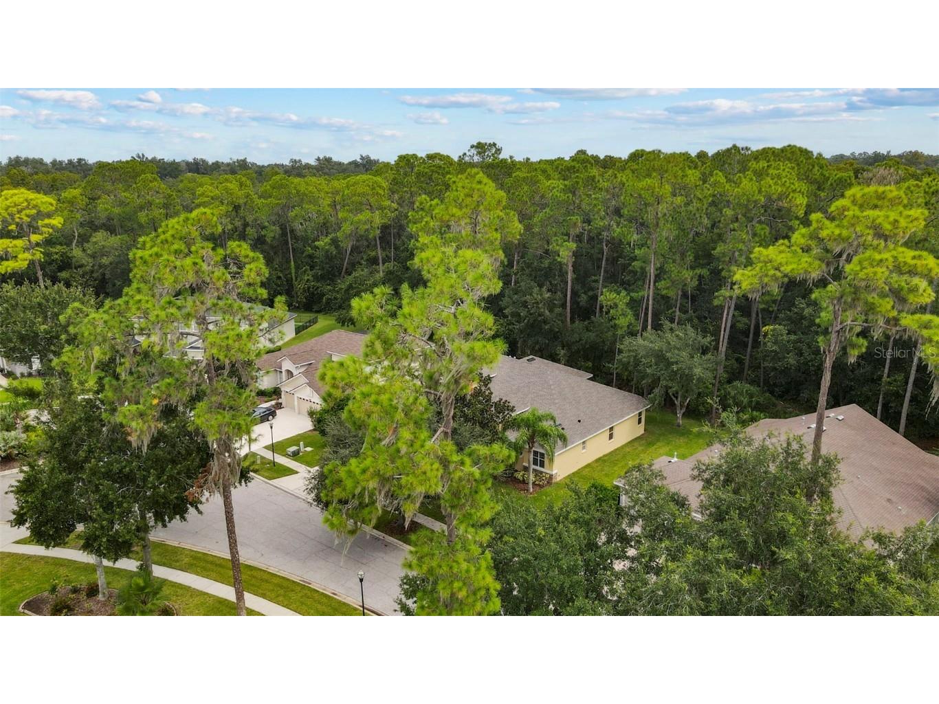 5108 Dunham Creek Place Brandon FL 33511 TB8427354 image49