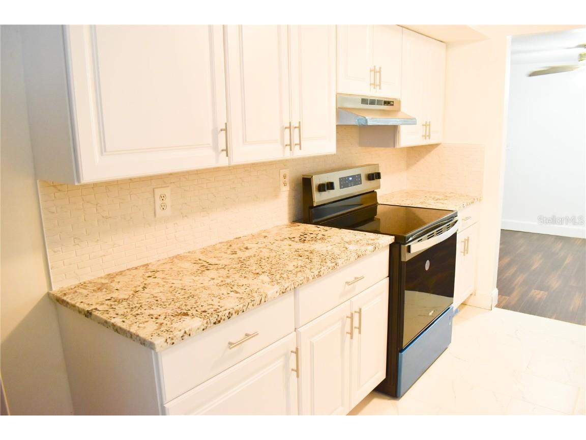 5108 Sandalwood Drive Holiday FL 34690 TB8433630 image12