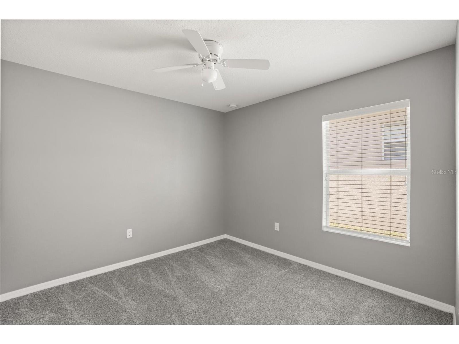 5109 Ballark Street Mount Dora FL 32757 G5112129 image24