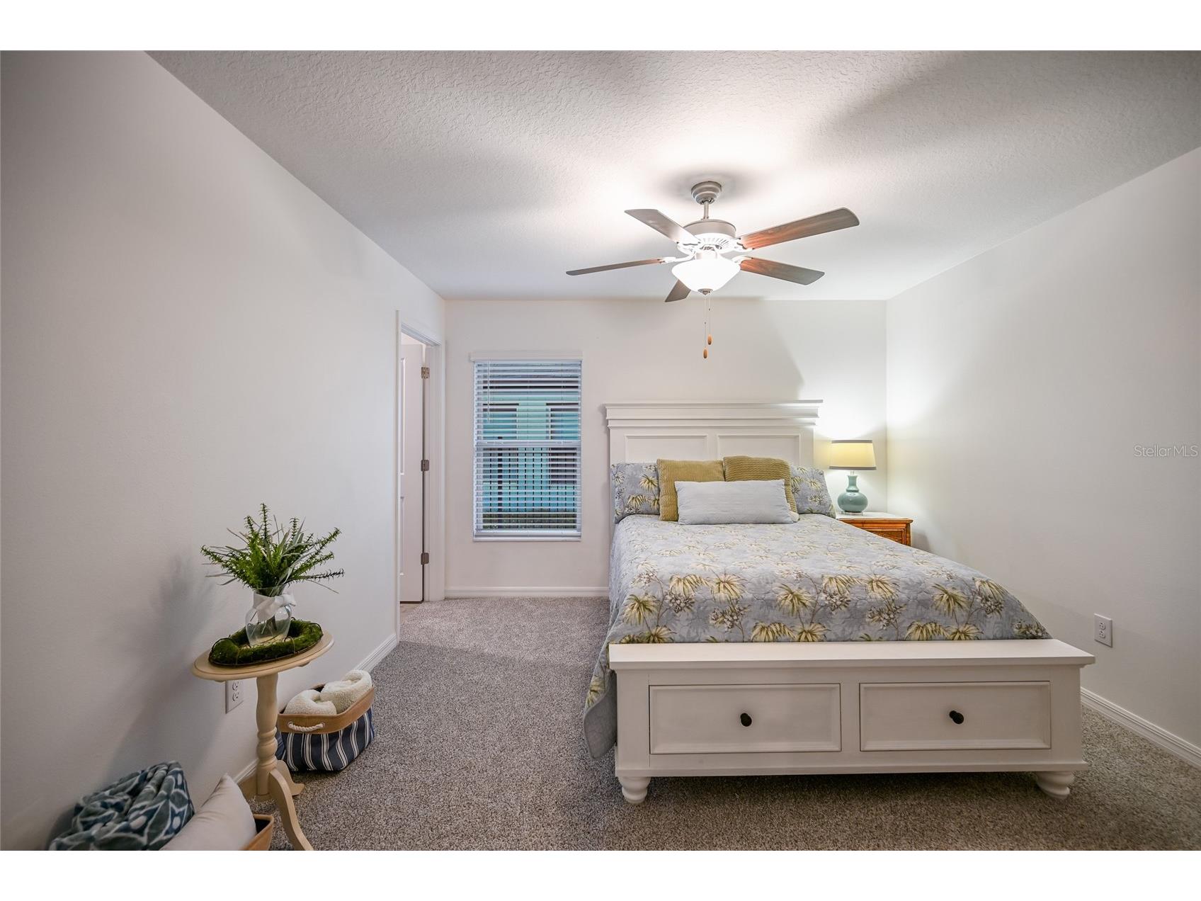 5109 Olano Street Palmetto FL 34221 A4686048 image35