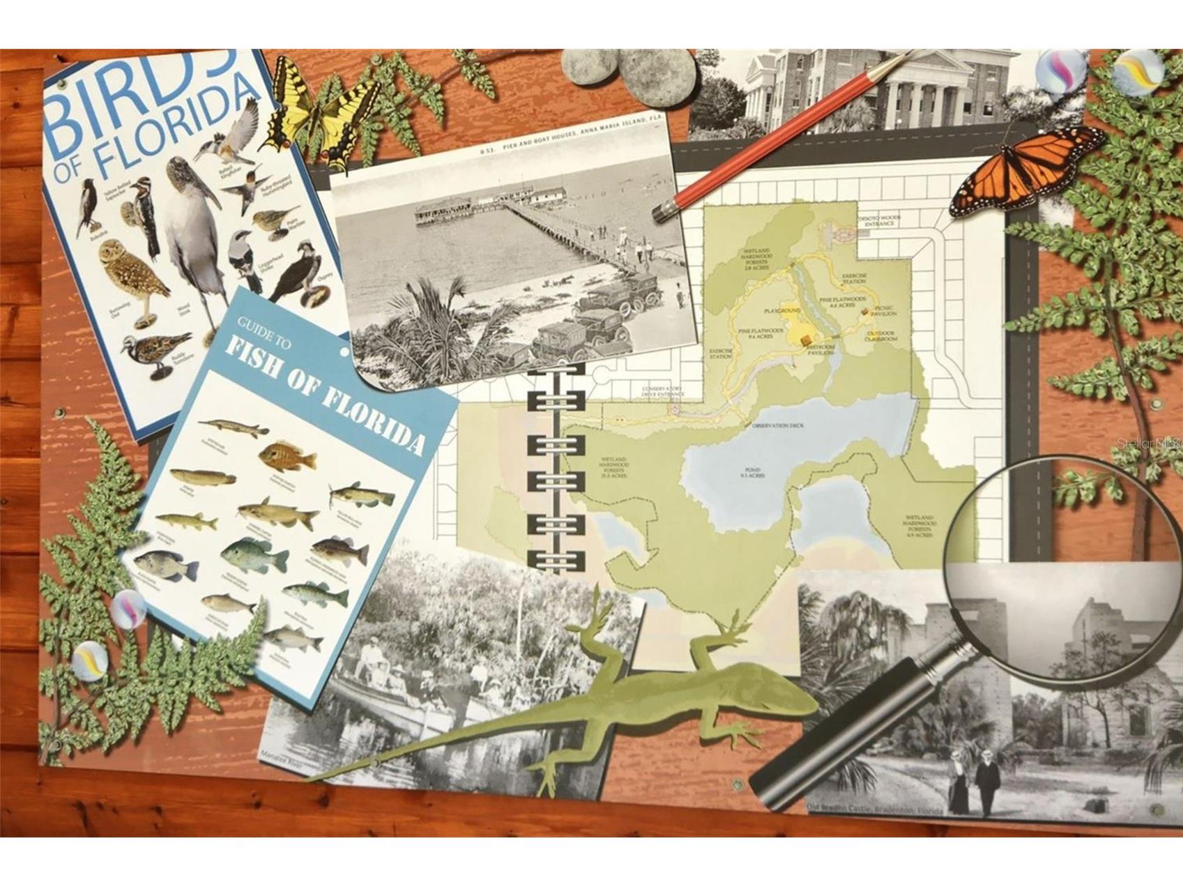 5109 Palm Aire Drive Sarasota FL 34243 A4686695 image80