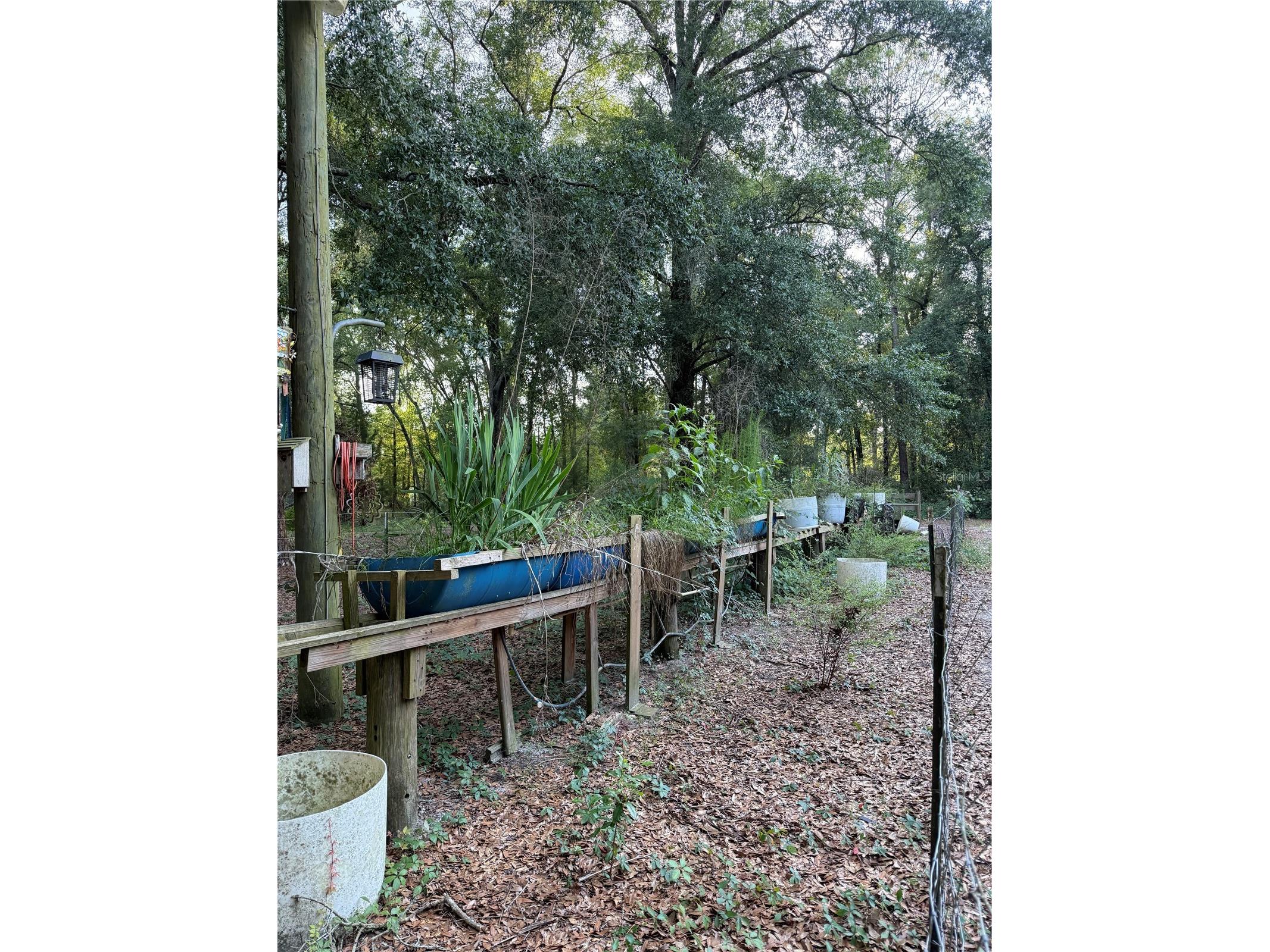5109 SW 10th Street Bell FL 32619 GC540843 image15
