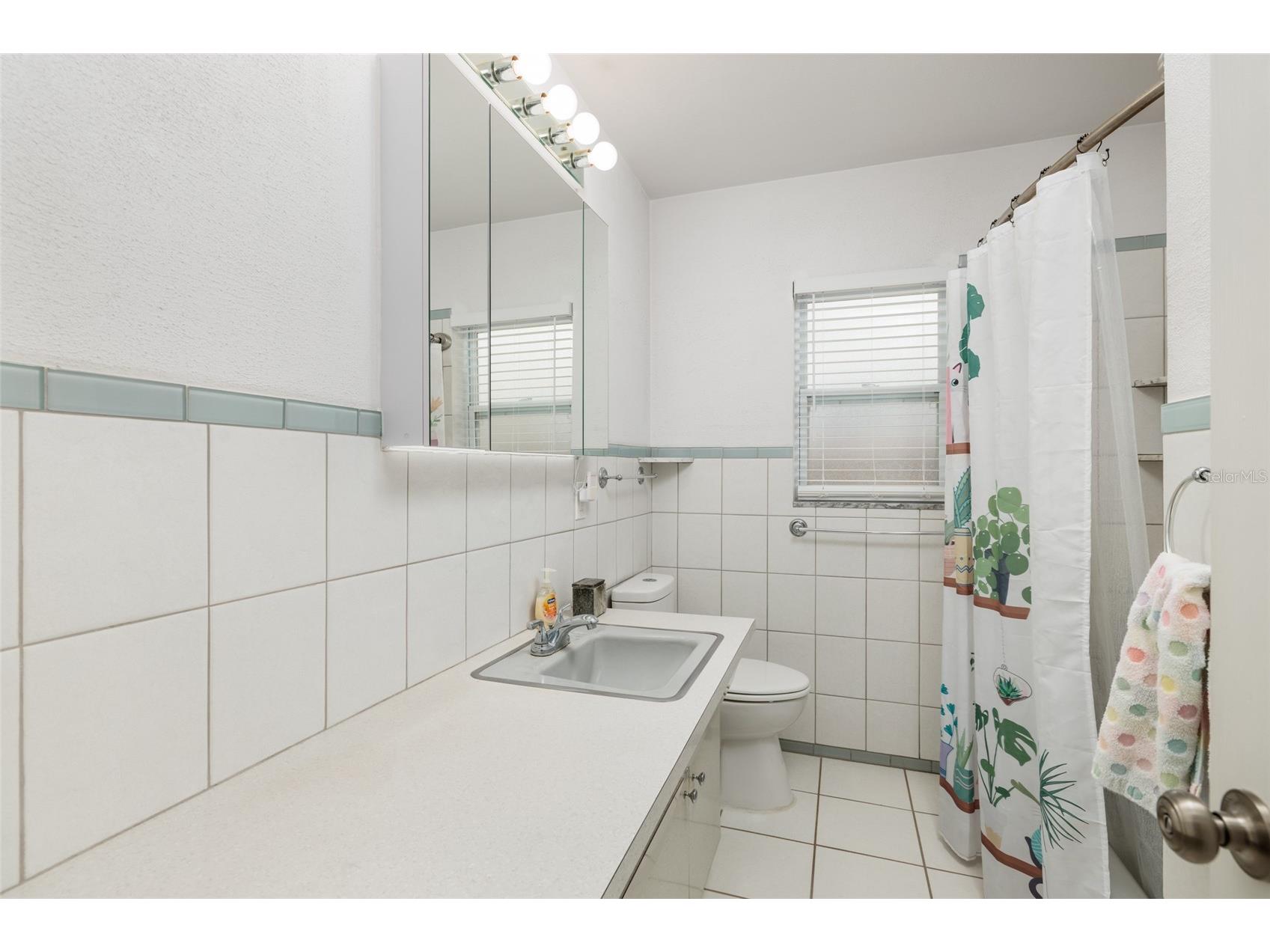 511 74th Avenue N Saint Petersburg FL 33702 TB8514956 image21