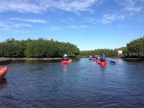 511 Buckingham Avenue E Oldsmar FL 34677 TB8507804 image75