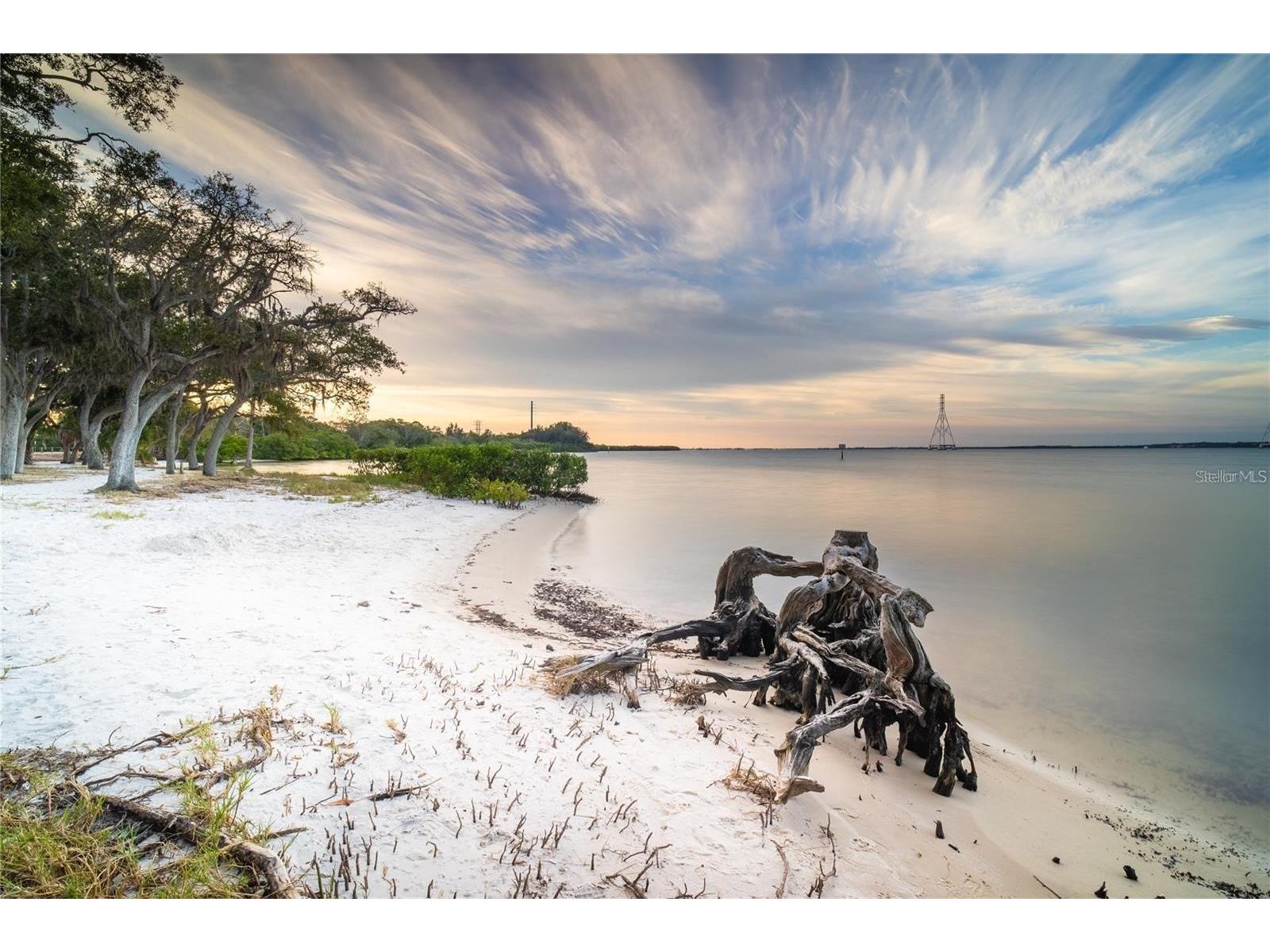 511 Buckingham Avenue E Oldsmar FL 34677 TB8507804 image76